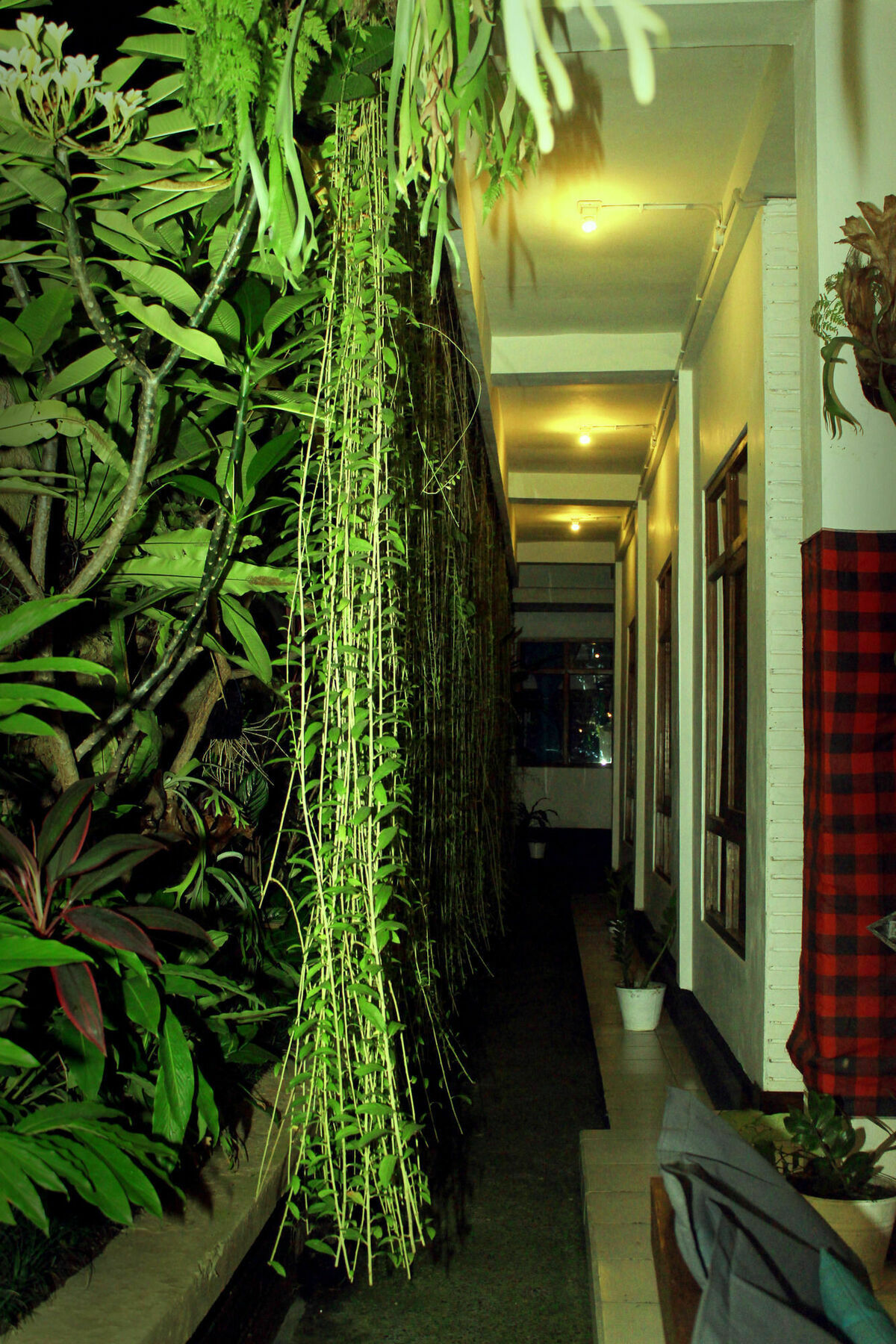 Friendly House Bali Hostel Ubud  Exterior photo